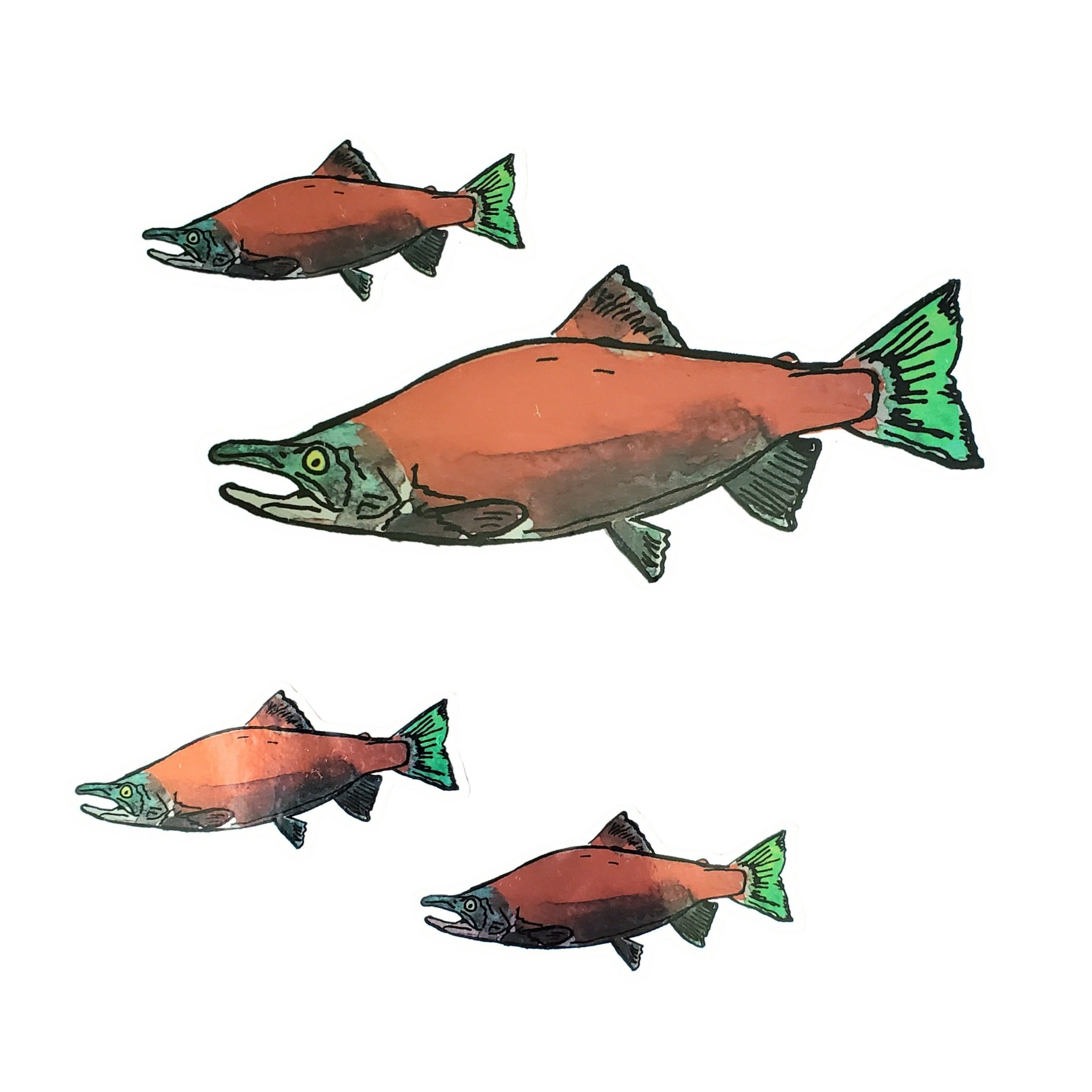 Kokanee sticker