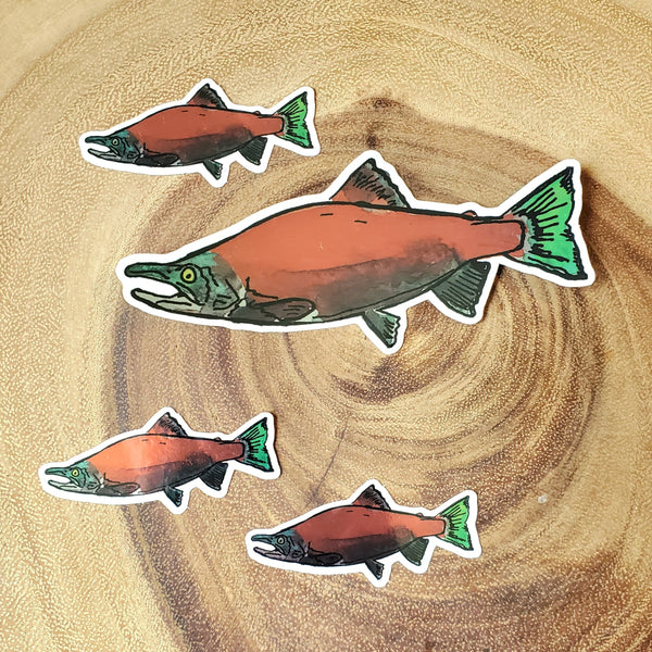 Kokanee sticker