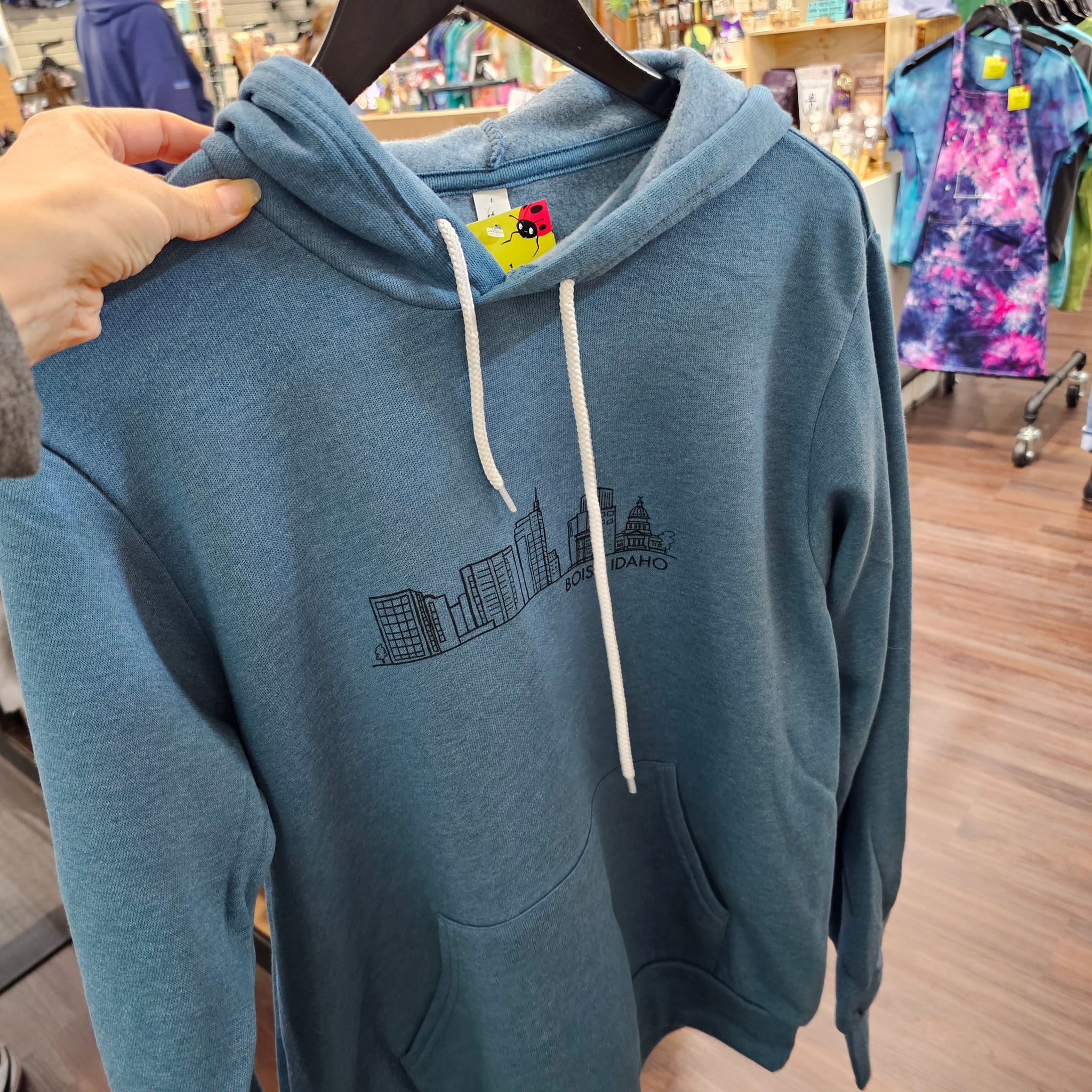 Boise Skyline Hoodie, Eco-Friendly, Adult Sizes