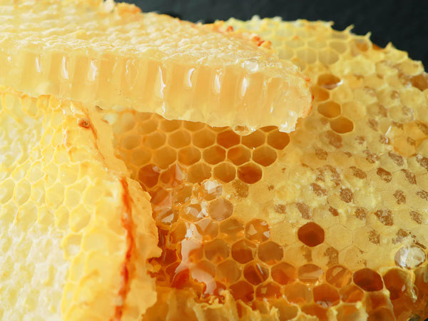 American Raw Honey Comb 8oz